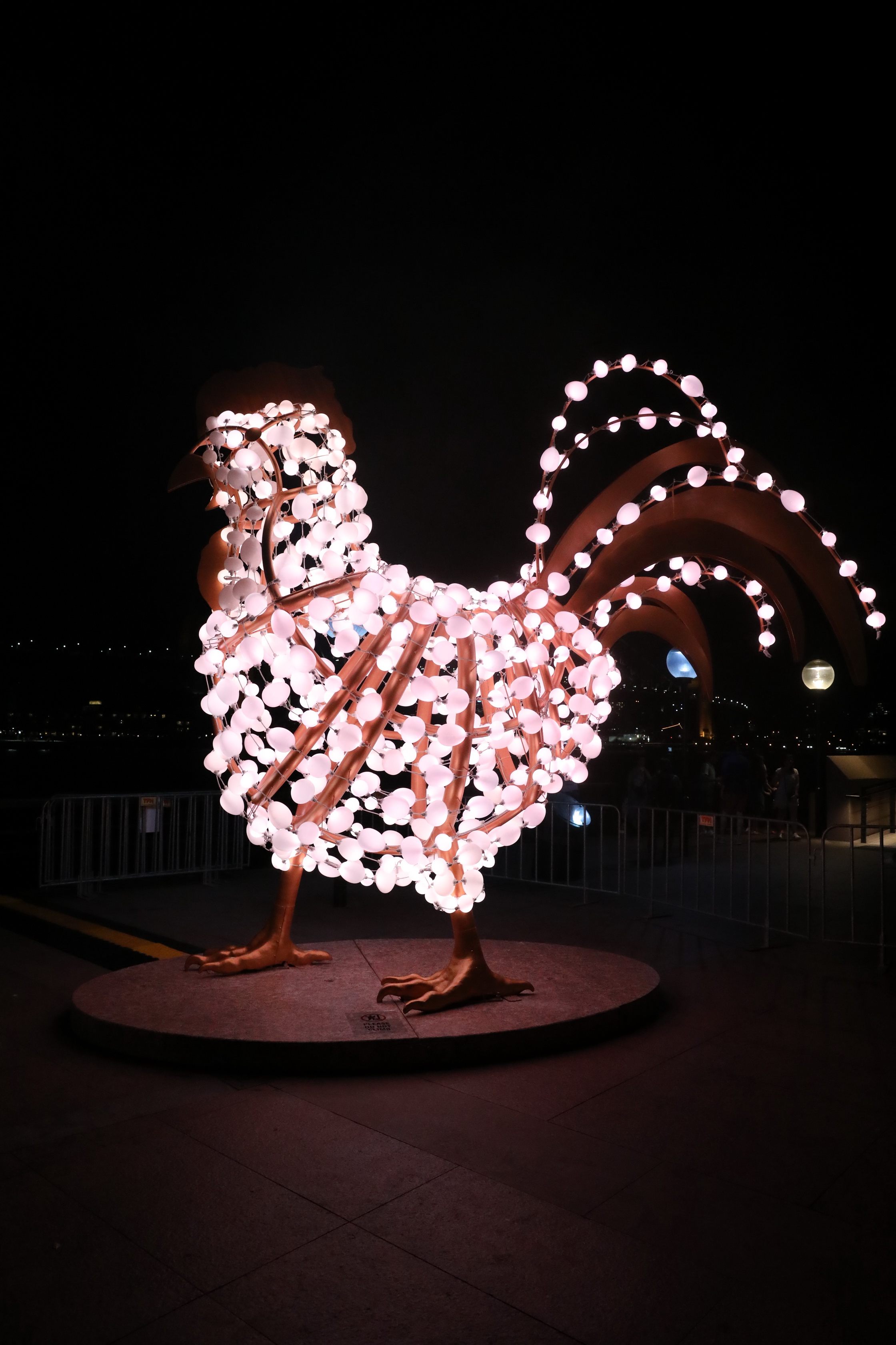 2020 01 30 21 15 59 Canon EOS 5D Mark IV 0043